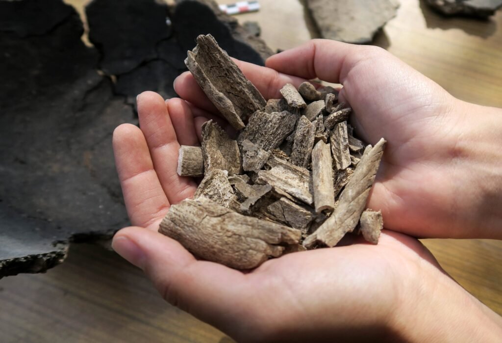 Gul Plaza Tragedy Remains