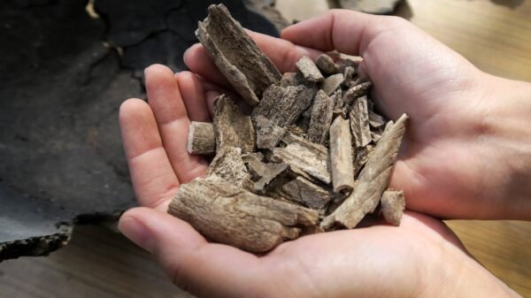 Gul Plaza Tragedy Remains