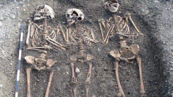 plague mass grave discovered
