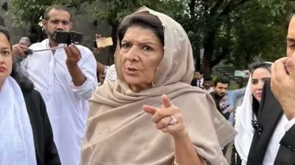 Aleema Khan Party Statement