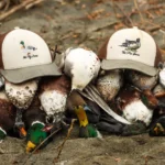 Khyber Pakhtunkhwa Hunting Ban