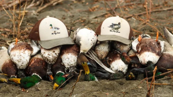 Khyber Pakhtunkhwa Hunting Ban