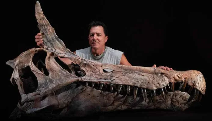 Giant dinosaur fossil discovered