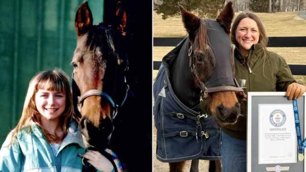 World Oldest Mare Record