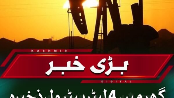 Petrol storage prison sentence