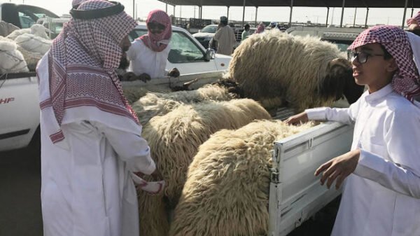 حجاج قربانی