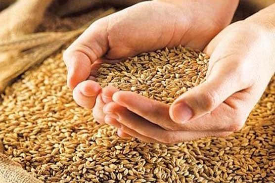 وفاق کی خیبرپختونخوا پر گندم ترسیل کی پابندی ختم کرنے کی ہدایت