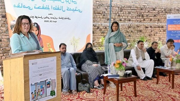 پی سی پی ڈبلیو سی