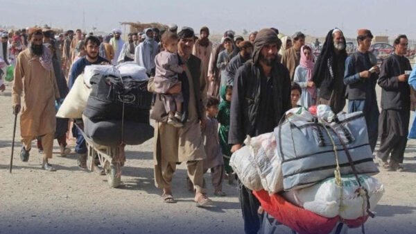 افغان شہریوں کی گرفتاری کا حکم، ملک گیر کریک ڈائون کی تیاری