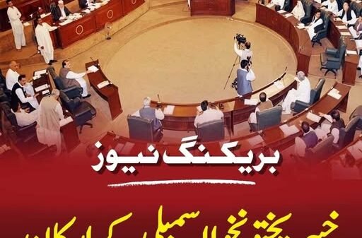 خیبرپختونخوا اسمبلی مراعات بل