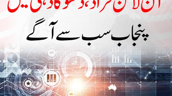 آن لائن فراڈ، دھوکا دہی میں پنجاب سب سے آگے