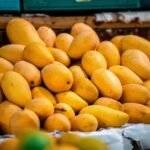 پاکستانی آم کی برآمدات 2026، ایران سب سے بڑا خریدار