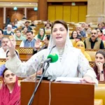 پنجاب کے کھربوں روپے کے سرکاری اثاثوں پر نیا قانونی نظام نافذ