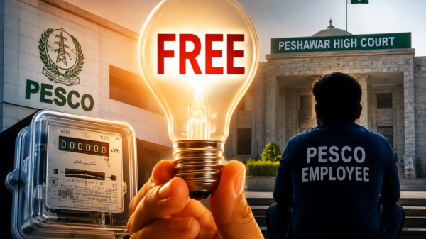 پیسکو ملازمین مفت بجلی
