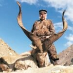 گلگت میں ٹرافی ہنٹنگ، استور مارخور کا پرمٹ 3لاکھ 56ہزار ڈالر میں نیلام