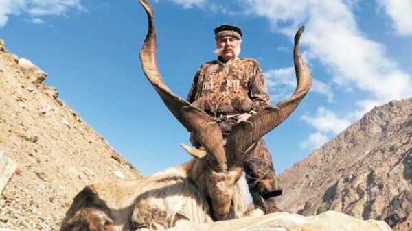 گلگت میں ٹرافی ہنٹنگ، استور مارخور کا پرمٹ 3لاکھ 56ہزار ڈالر میں نیلام