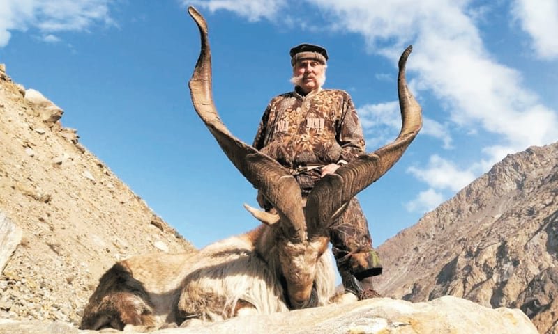 گلگت میں ٹرافی ہنٹنگ، استور مارخور کا پرمٹ 3لاکھ 56ہزار ڈالر میں نیلام