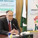 حکومت نے 12 ارب کے ڈیجیٹل منصوبوں کی منظوری دے دی