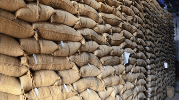اضاخیل گودام میں بارش سے اربوں مالیت کی گندم خراب