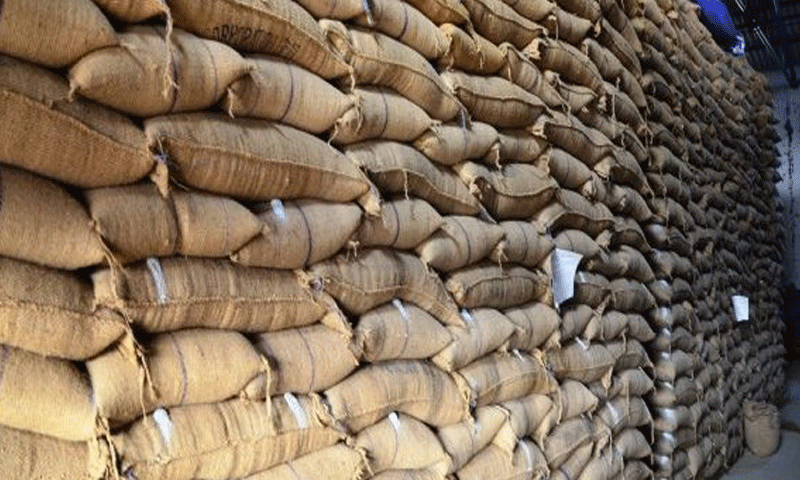اضاخیل گودام میں بارش سے اربوں مالیت کی گندم خراب