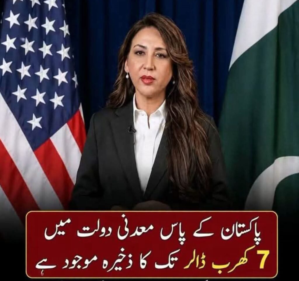بلی تھیلے سے باہر آگئی، ایمرجنسی کا فیصلہ معدنیات کیلئے کیا گیا