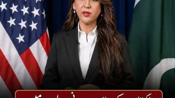 بلی تھیلے سے باہر آگئی، ایمرجنسی کا فیصلہ معدنیات کیلئے کیا گیا