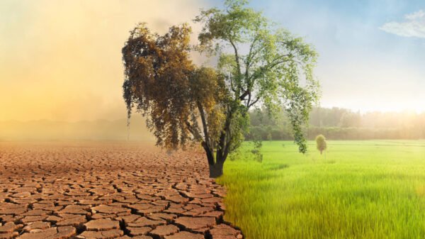 دنیا گلوبل وارمنگ کی خطرناک ترین حد کے قریب پہنچ گئی